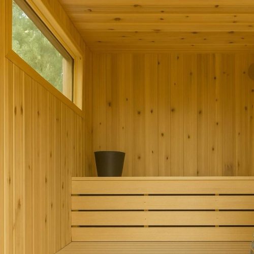 WhatsApp Image 2026-02-16 at 08.23.48